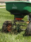 Sowing grass seed for a perfect lawn