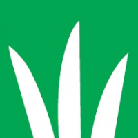 Johnsons Lawn Grass Seed