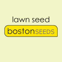Boston Seeds Lawn Grass Seed - Range