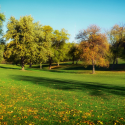 Parks and Playing Fields