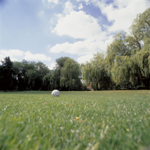 Boston Seeds Quality Hard Wearing Lawn and Landscape Grass Seed product image Boston Seeds Quality Hard Wearing Lawn and Landscape Grass Seed product image