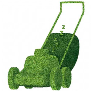 E9 -Barenbrug Mow Saver Grass Seed E9 -Barenbrug Mow Saver Grass Seed image