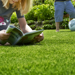 Childs Play Lawn Seed Childs Play Lawn Seed image