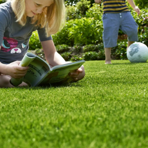 Childs Play Lawn Grass Seed