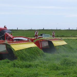 Overseeder - Cutting Ley