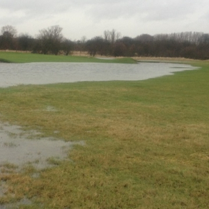 Waterlogged and Wet Soils Grass Seed