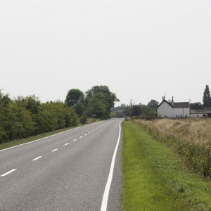 Road Verge and General Purpose with Clover