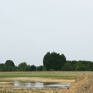 Land Reclamation Grass Seed (with Ryegrass)