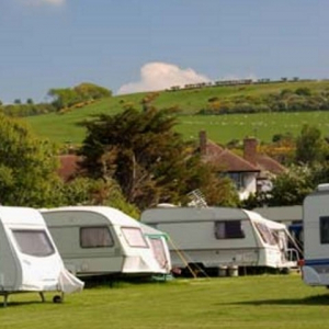 Caravan Park Grass Seed