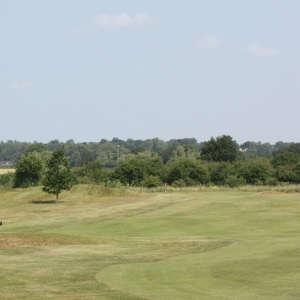 Golf Tees & Fairways Grass Seed (with ryegrass)