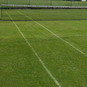 Cricket and Tennis Grass Seed